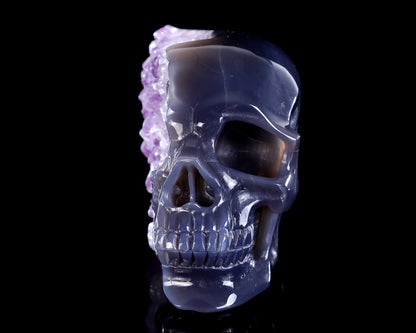 6.3" Amethyst Druse Agate Hand Carved Crystal Skull and Snake Sculpture