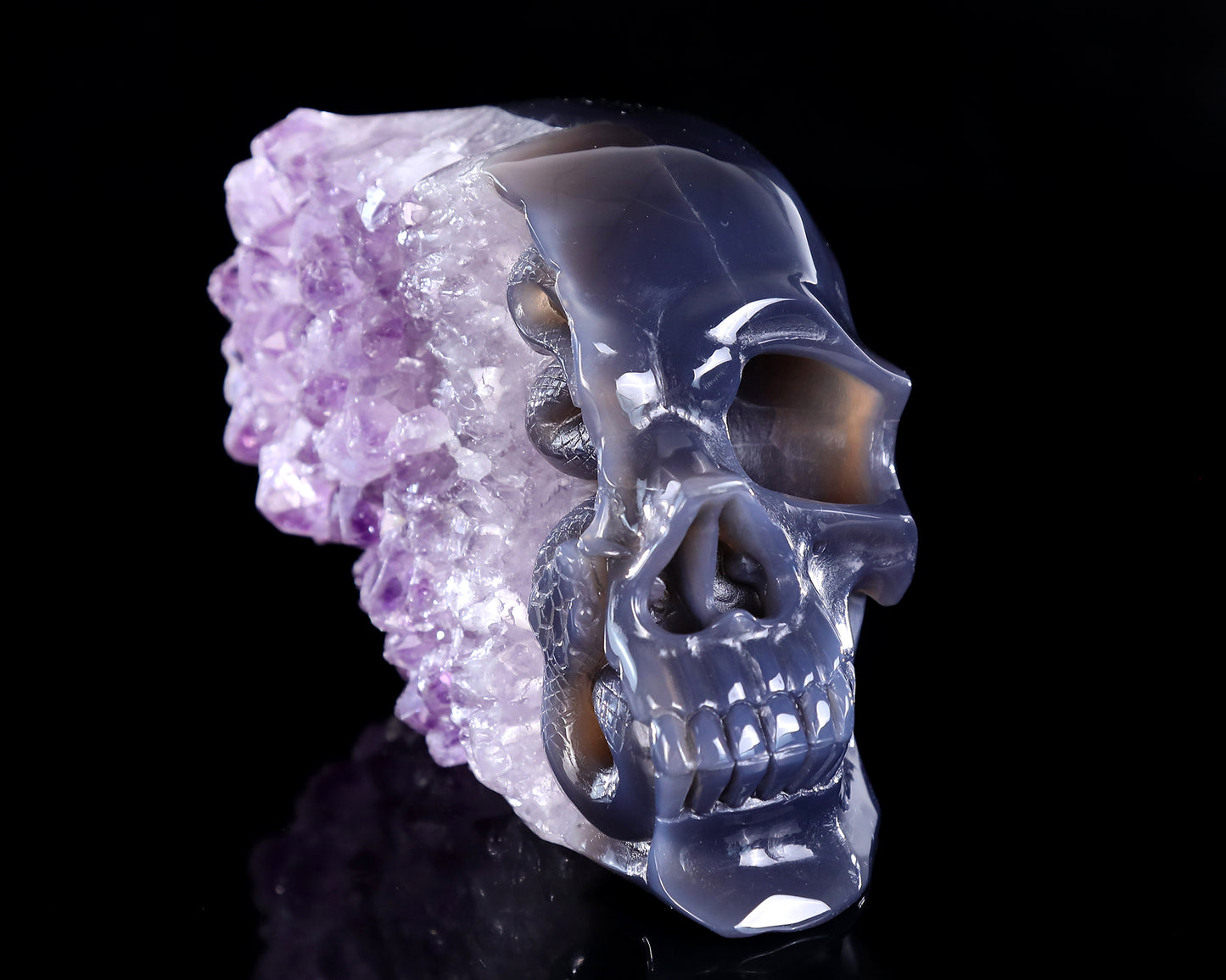 6.3" Amethyst Druse Agate Hand Carved Crystal Skull and Snake Sculpture