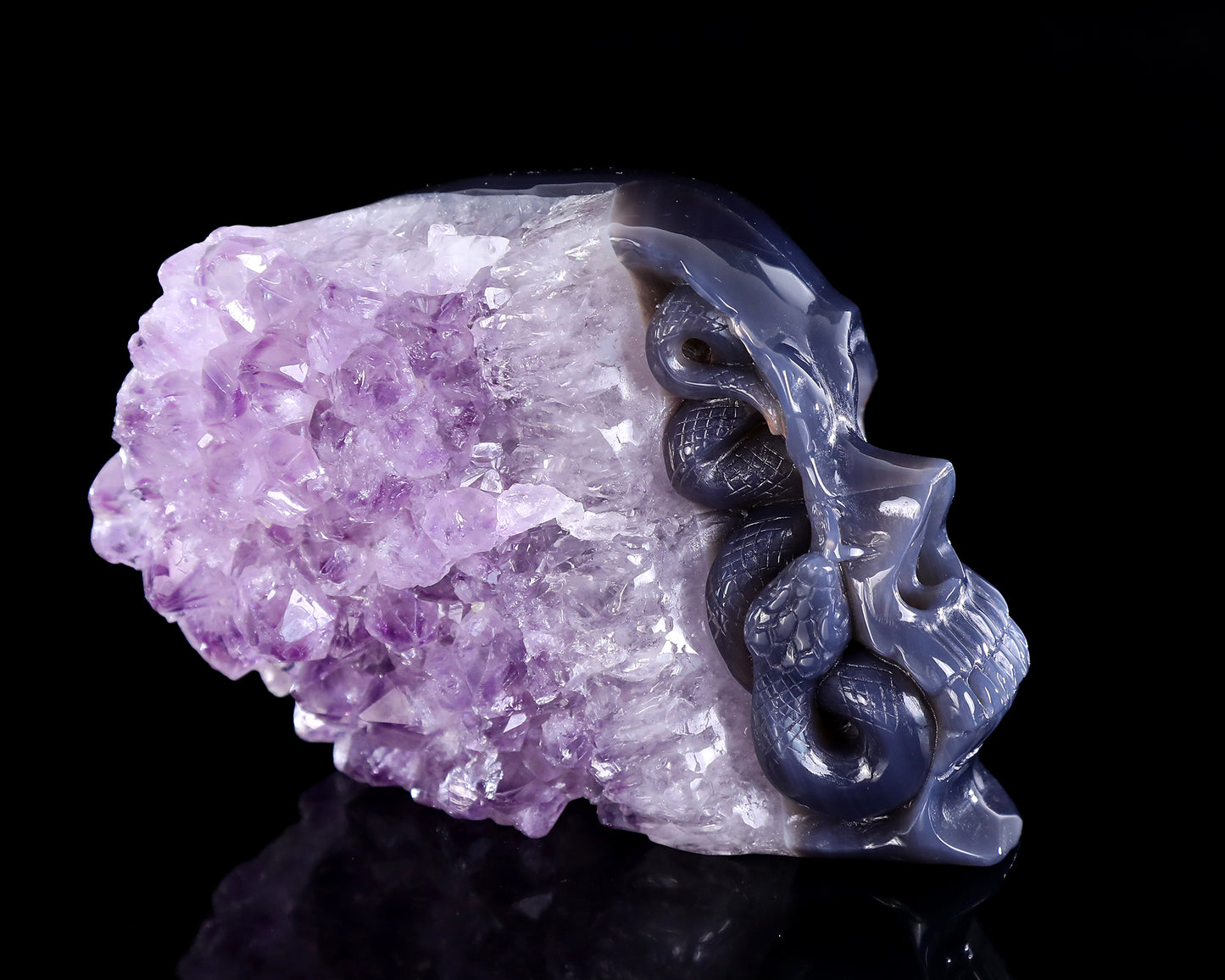 6.3" Amethyst Druse Agate Hand Carved Crystal Skull and Snake Sculpture