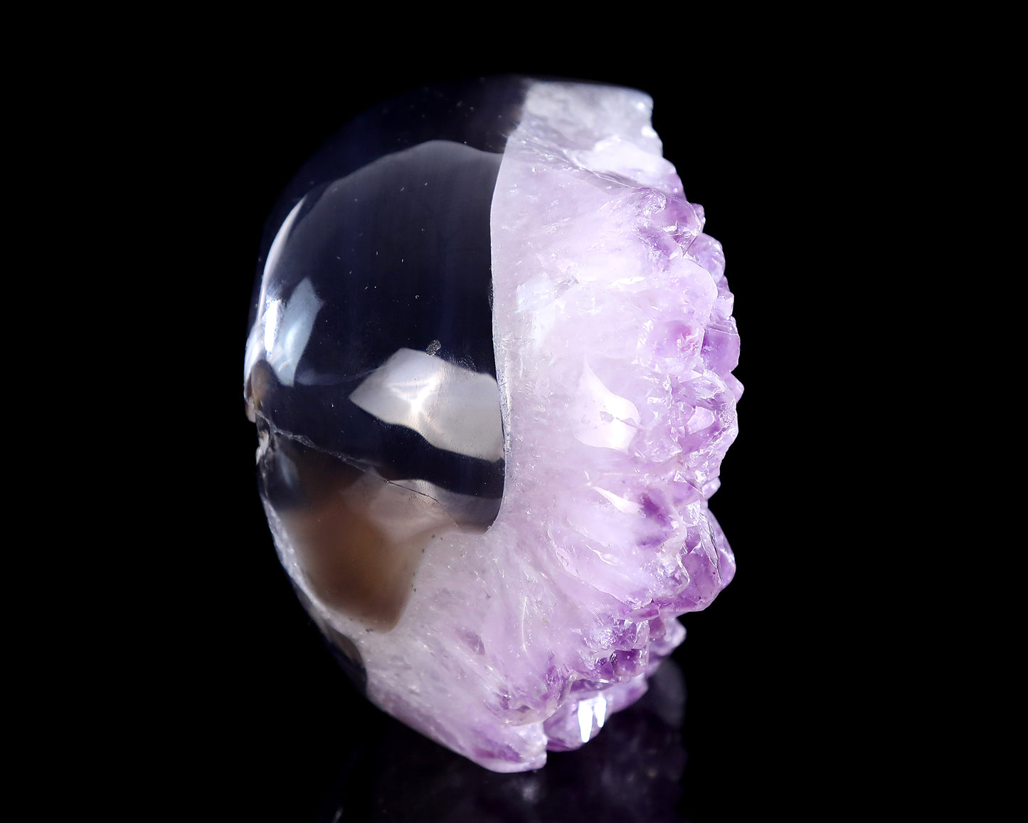 6.3" Amethyst Druse Agate Hand Carved Crystal Skull and Snake Sculpture