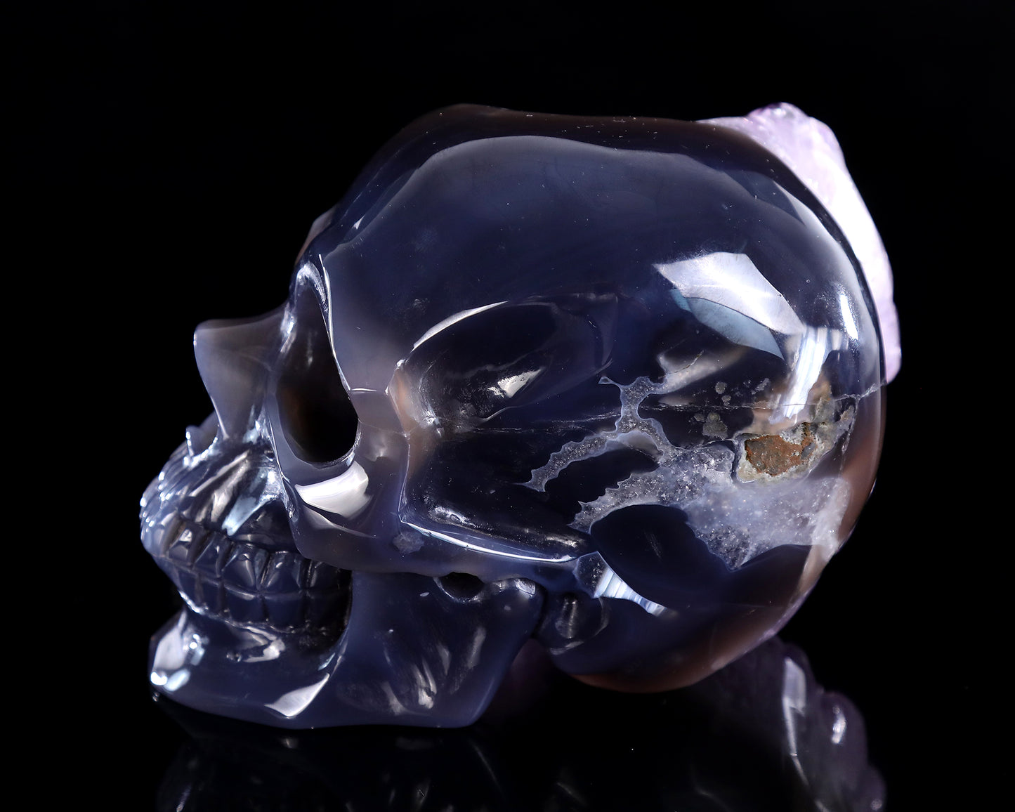 6.3" Amethyst Druse Agate Hand Carved Crystal Skull and Snake Sculpture