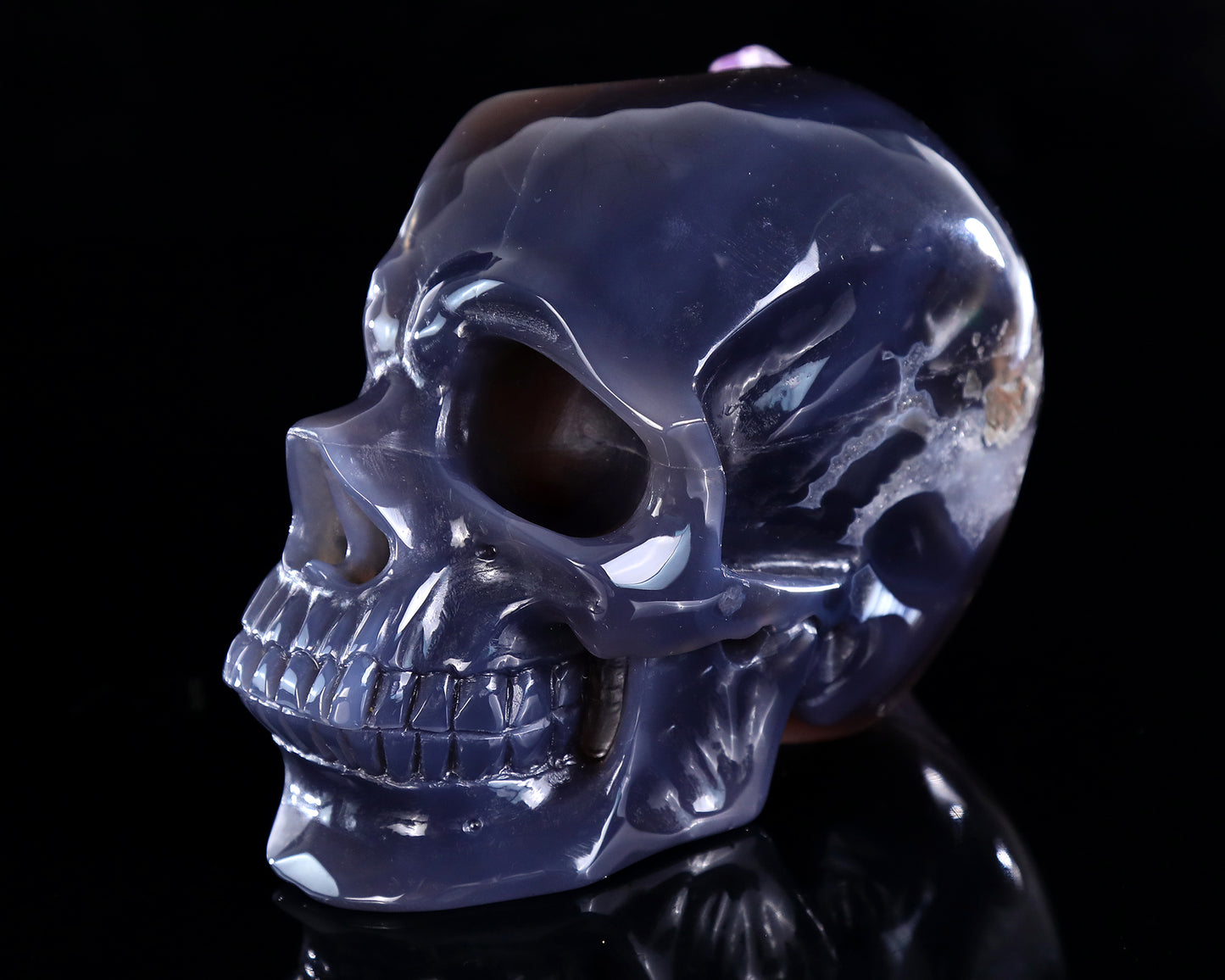 6.3" Amethyst Druse Agate Hand Carved Crystal Skull and Snake Sculpture