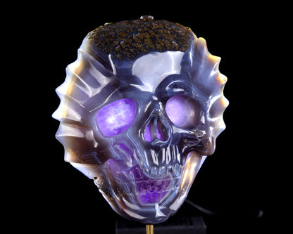 7.0" Amethyst Druse Agate Hand Carved Crystal Skull Sculpture