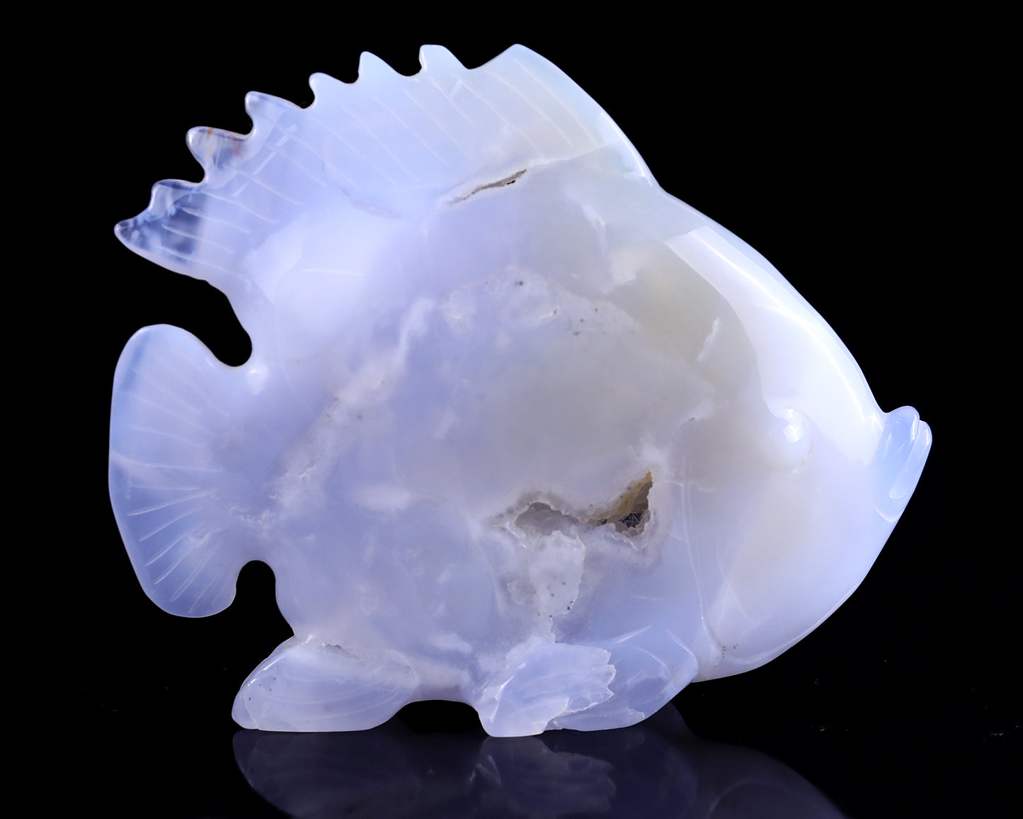 5.1" Blue Chalcedony Hand Carved Crystal Golden Fish Sculpture