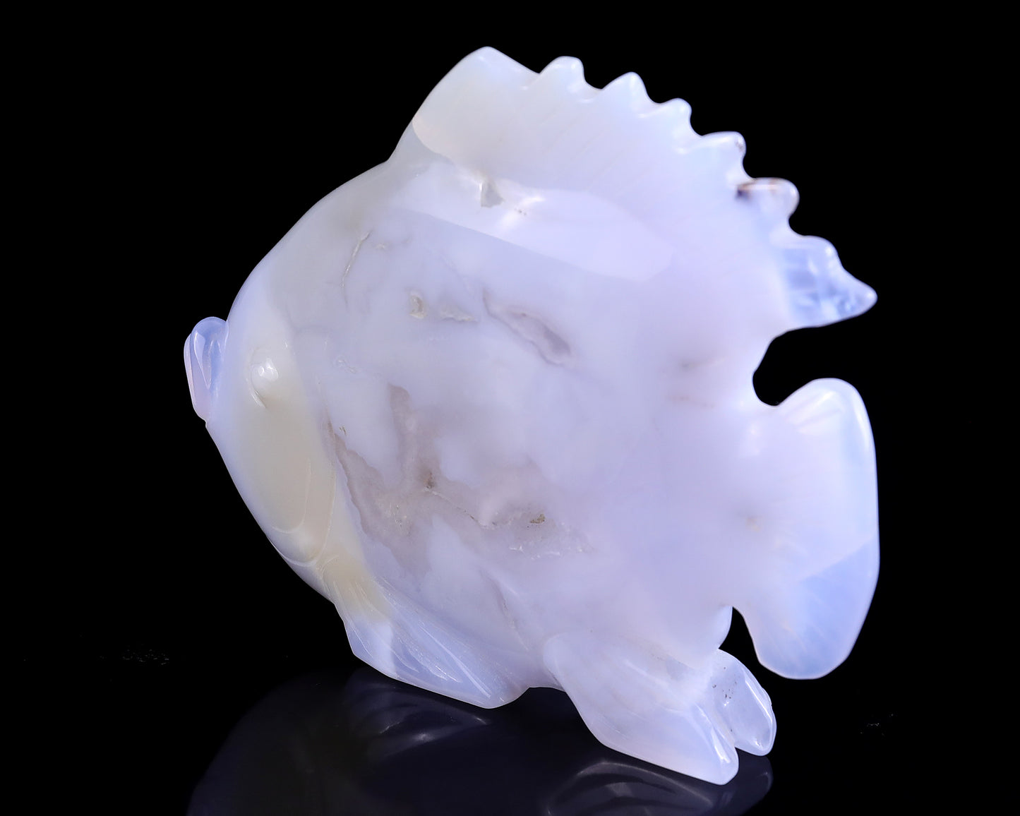 5.1" Blue Chalcedony Hand Carved Crystal Golden Fish Sculpture