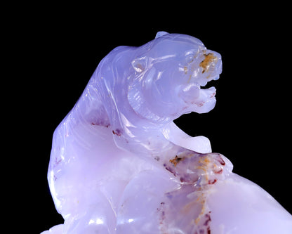 Amazing 6.9" Blue Chalcedony Hand Carved Crystal Tiger Sculpture