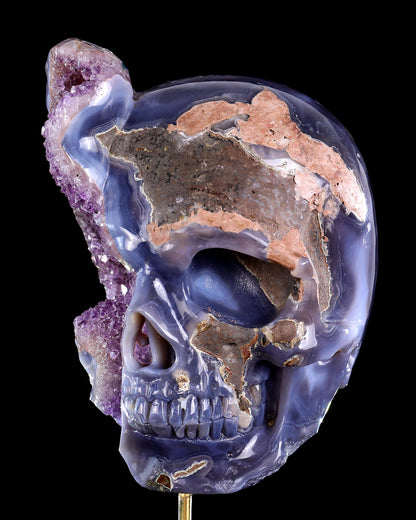 8.0" Amethyst Druse Agate Hand Carved Mineral Specimen Skull Sculpture