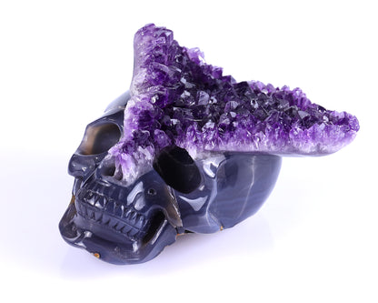 5.0" Amethyst Druse Agate Hand Carved Mineral Specimen Skull Sculpture