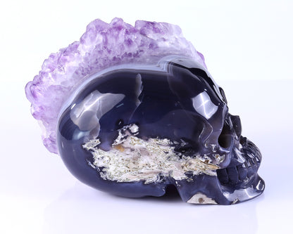 8.4" Amethyst Druse Agate Hand Carved Mineral Specimen Skull Sculpture