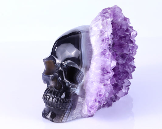 8.4" Amethyst Druse Agate Hand Carved Mineral Specimen Skull Sculpture