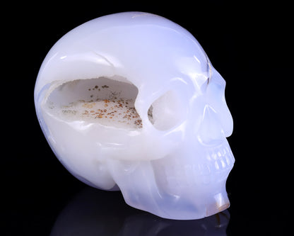 5.2" Blue Chalcedony Hand Carved Crystal Realistic Skull Sculpture