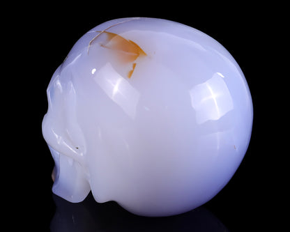 5.2" Blue Chalcedony Hand Carved Crystal Realistic Skull Sculpture