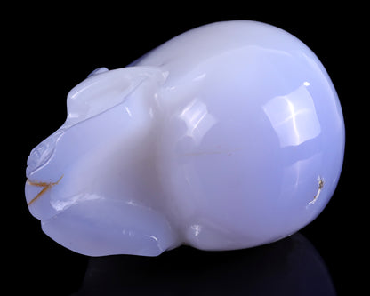 5.2" Blue Chalcedony Hand Carved Crystal Realistic Skull Sculpture