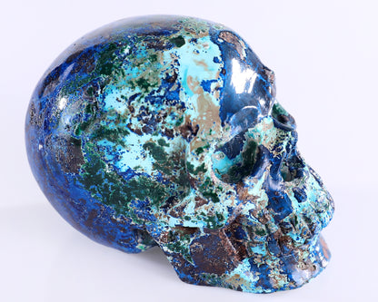 3.0" Phoenix Stone Hand Carved Crystal Realistic Skull Sculpture