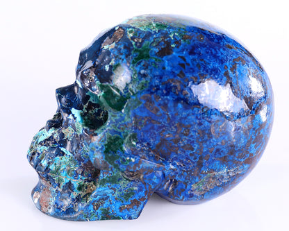 3.0" Phoenix Stone Hand Carved Crystal Realistic Skull Sculpture