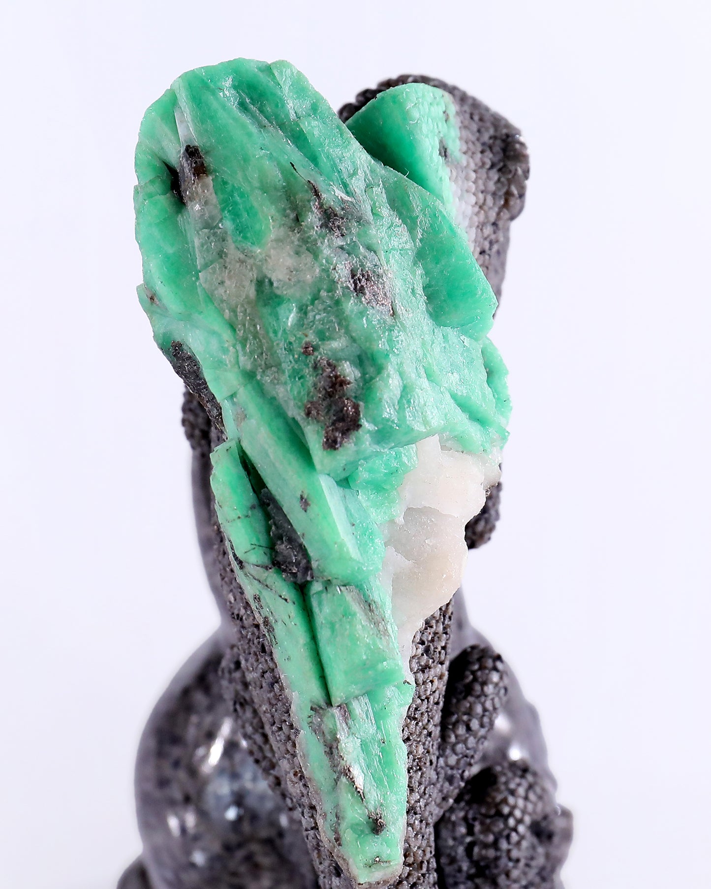 6.0" Natural Emerald Hand Carved Crystal Lizard and Skull Sculpture