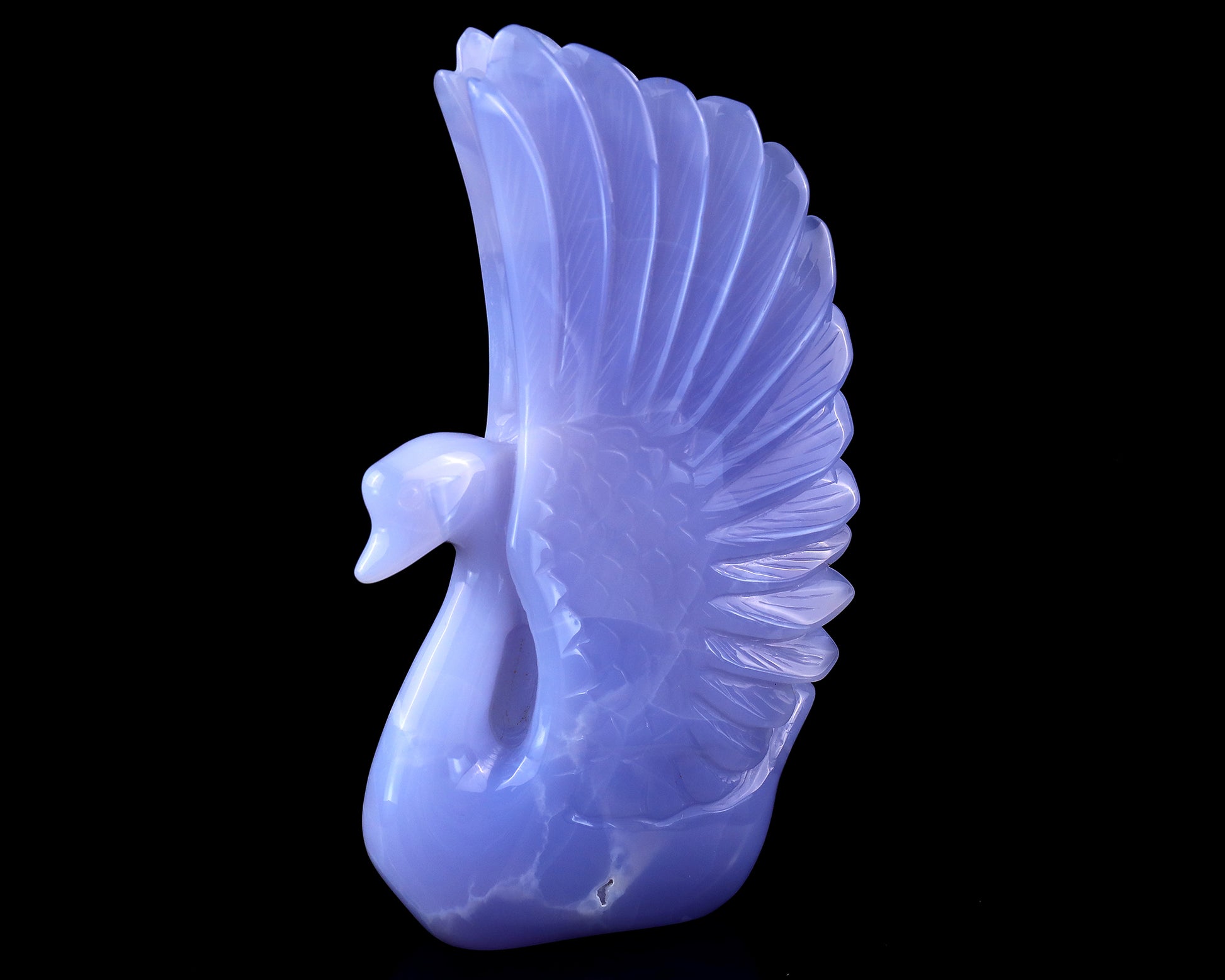 7.1" Blue Chalcedony Hand Carved Crystal Swan Sculpture Crystallumi