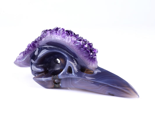 7.2" Amethyst Druse Agate Hand Carved Crystal Geode Raven Skull Sculpture Crystallumi