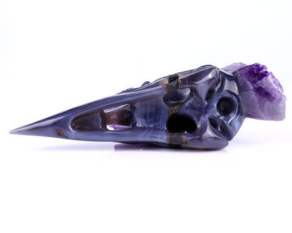 7.2" Amethyst Druse Agate Hand Carved Crystal Geode Raven Skull Sculpture Crystallumi