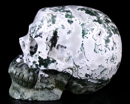 7.3" Moss Agate Hand Carved Crystal Realistic Skull Sculpture Crystallumi