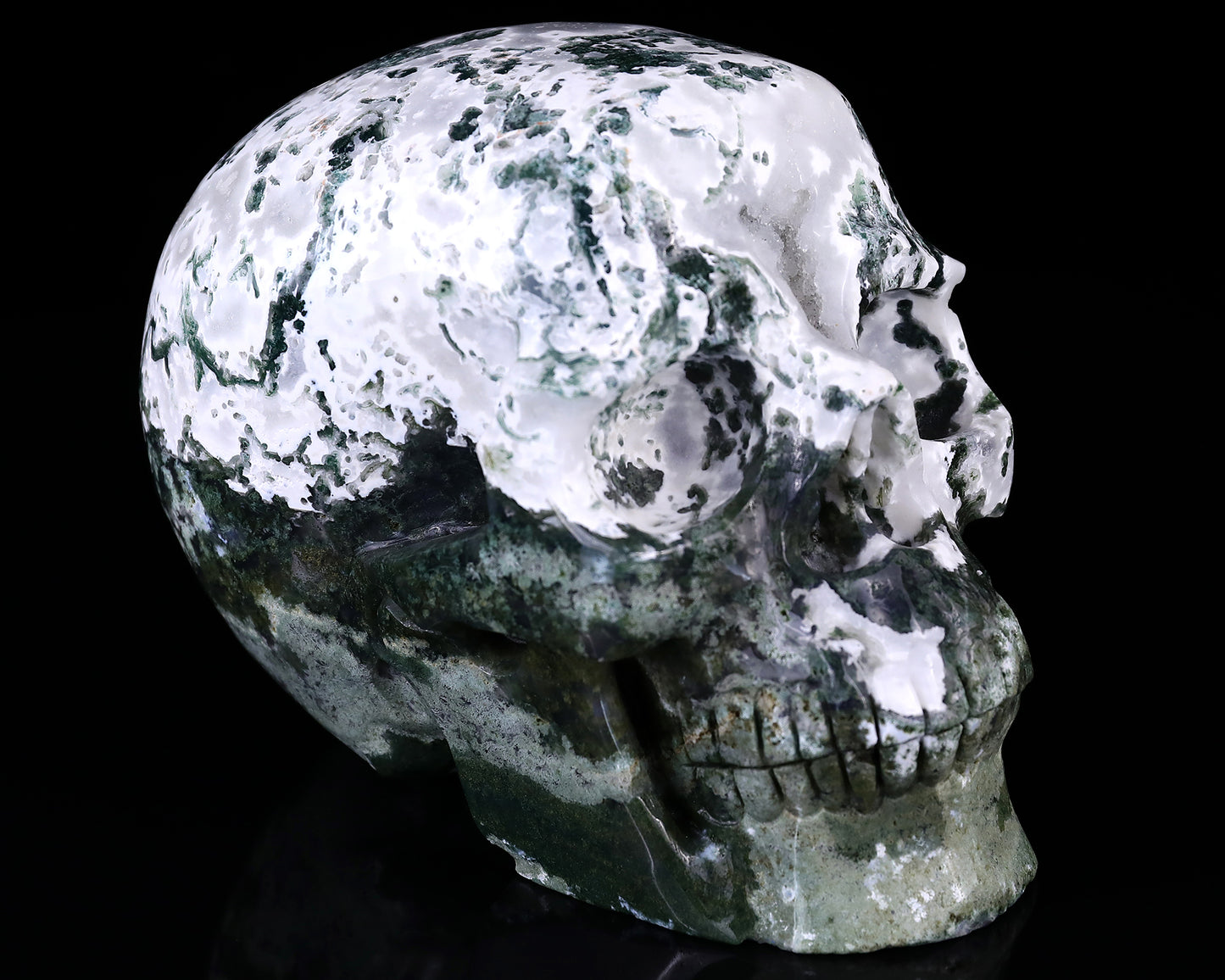 7.3" Moss Agate Hand Carved Crystal Realistic Skull Sculpture Crystallumi