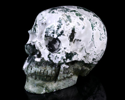 7.3" Moss Agate Hand Carved Crystal Realistic Skull Sculpture Crystallumi