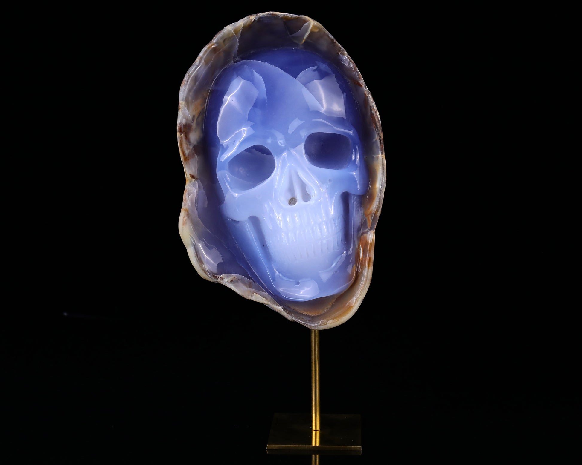 7.5" Blue Chalcedony Hand Carved Crystal Mineral Specimen Skull Sculpture Crystallumi