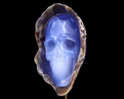 7.5" Blue Chalcedony Hand Carved Crystal Mineral Specimen Skull Sculpture Crystallumi