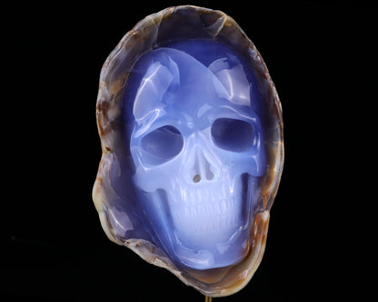 7.5" Blue Chalcedony Hand Carved Crystal Mineral Specimen Skull Sculpture Crystallumi