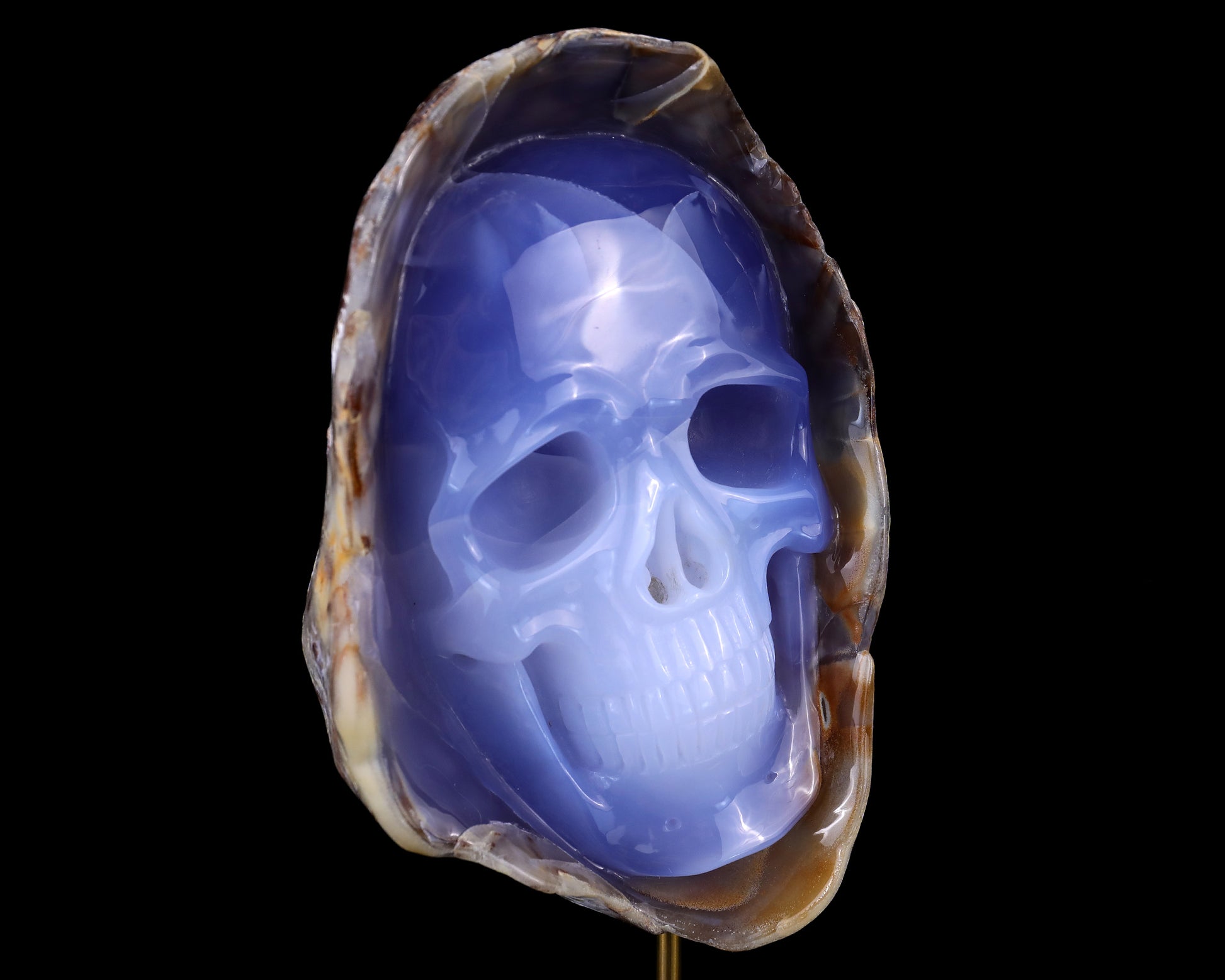 7.5" Blue Chalcedony Hand Carved Crystal Mineral Specimen Skull Sculpture Crystallumi