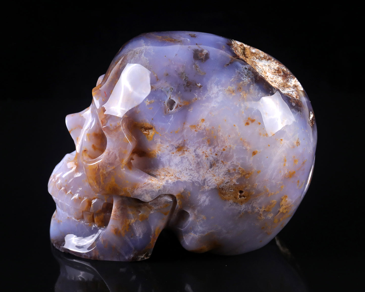 7.7" Blue Chalcedony Hand Carved Crystal Realistic Skull Sculpture Crystallumi