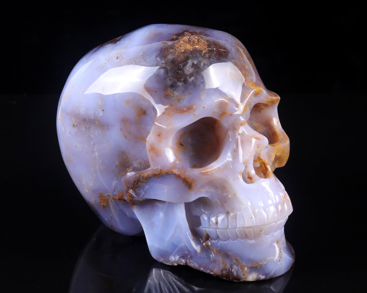 7.7" Blue Chalcedony Hand Carved Crystal Realistic Skull Sculpture Crystallumi