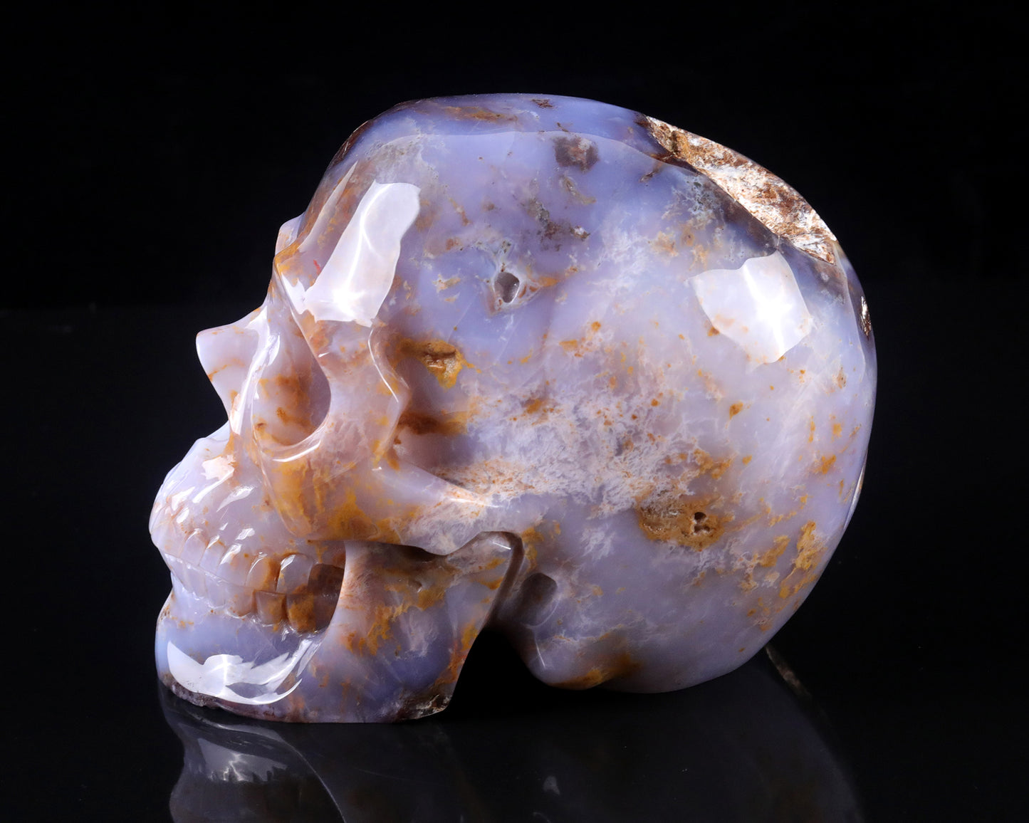 7.7" Blue Chalcedony Hand Carved Crystal Realistic Skull Sculpture Crystallumi