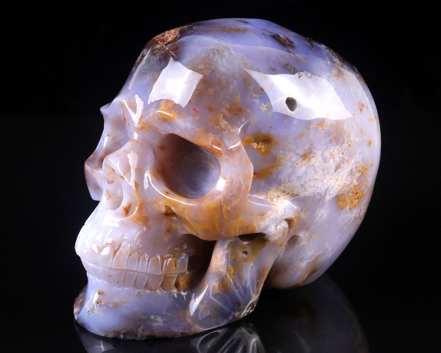 7.7" Blue Chalcedony Hand Carved Crystal Realistic Skull Sculpture Crystallumi