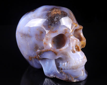 7.7" Blue Chalcedony Hand Carved Crystal Realistic Skull Sculpture Crystallumi