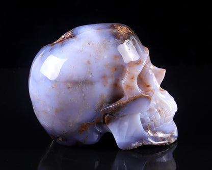 7.7" Blue Chalcedony Hand Carved Crystal Realistic Skull Sculpture Crystallumi