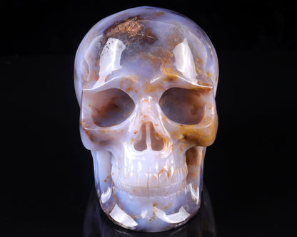 7.7" Blue Chalcedony Hand Carved Crystal Realistic Skull Sculpture Crystallumi