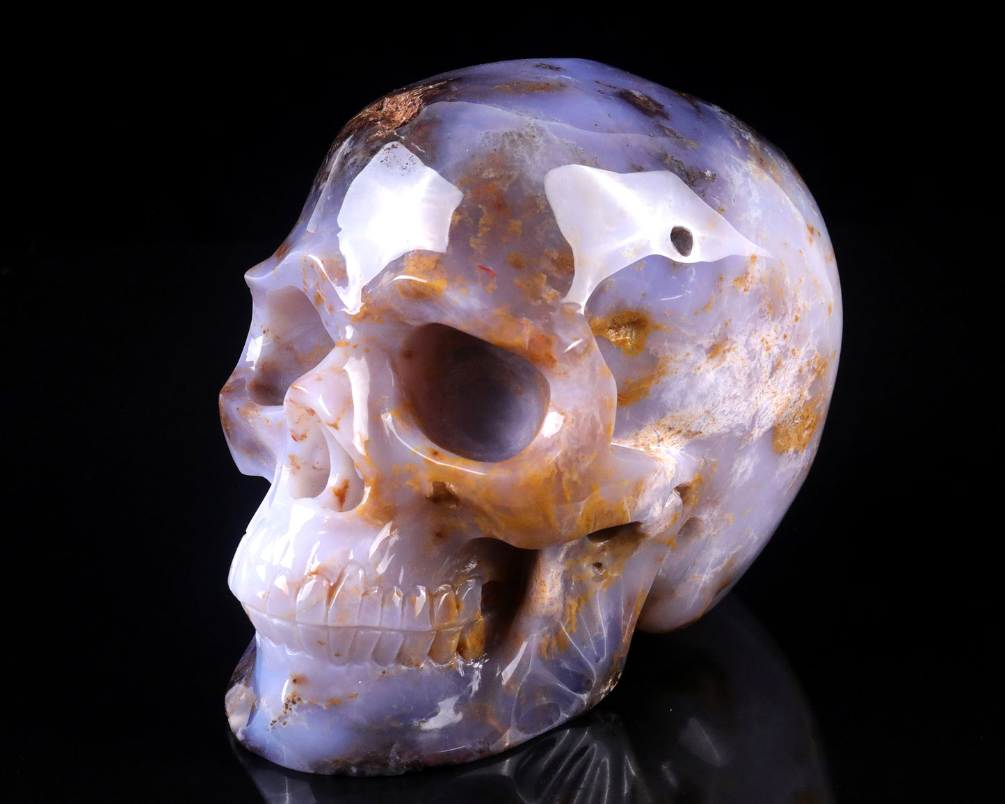 7.7" Blue Chalcedony Hand Carved Crystal Realistic Skull Sculpture Crystallumi