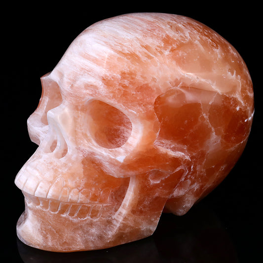 7.7" Orange Selenite Hand Carved Crystal Realistic Skull Sculpture Crystallumi