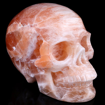 7.7" Orange Selenite Hand Carved Crystal Realistic Skull Sculpture Crystallumi