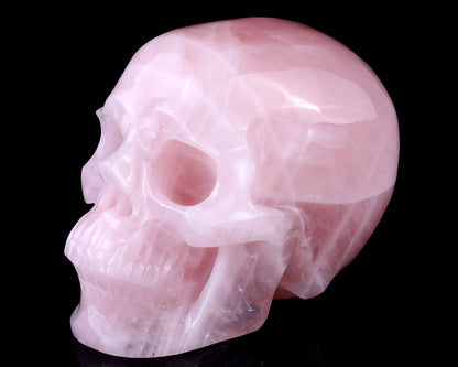 7.7" Pink Quartz Hand Carved Crystal Realistic Skull Sculpture Crystallumi