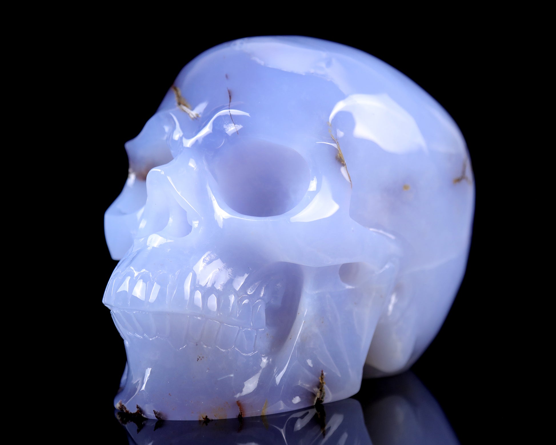 7.9" Blue Chalcedony Hand Carved Crystal Huge Realistic Skull Sculpture Crystallumi