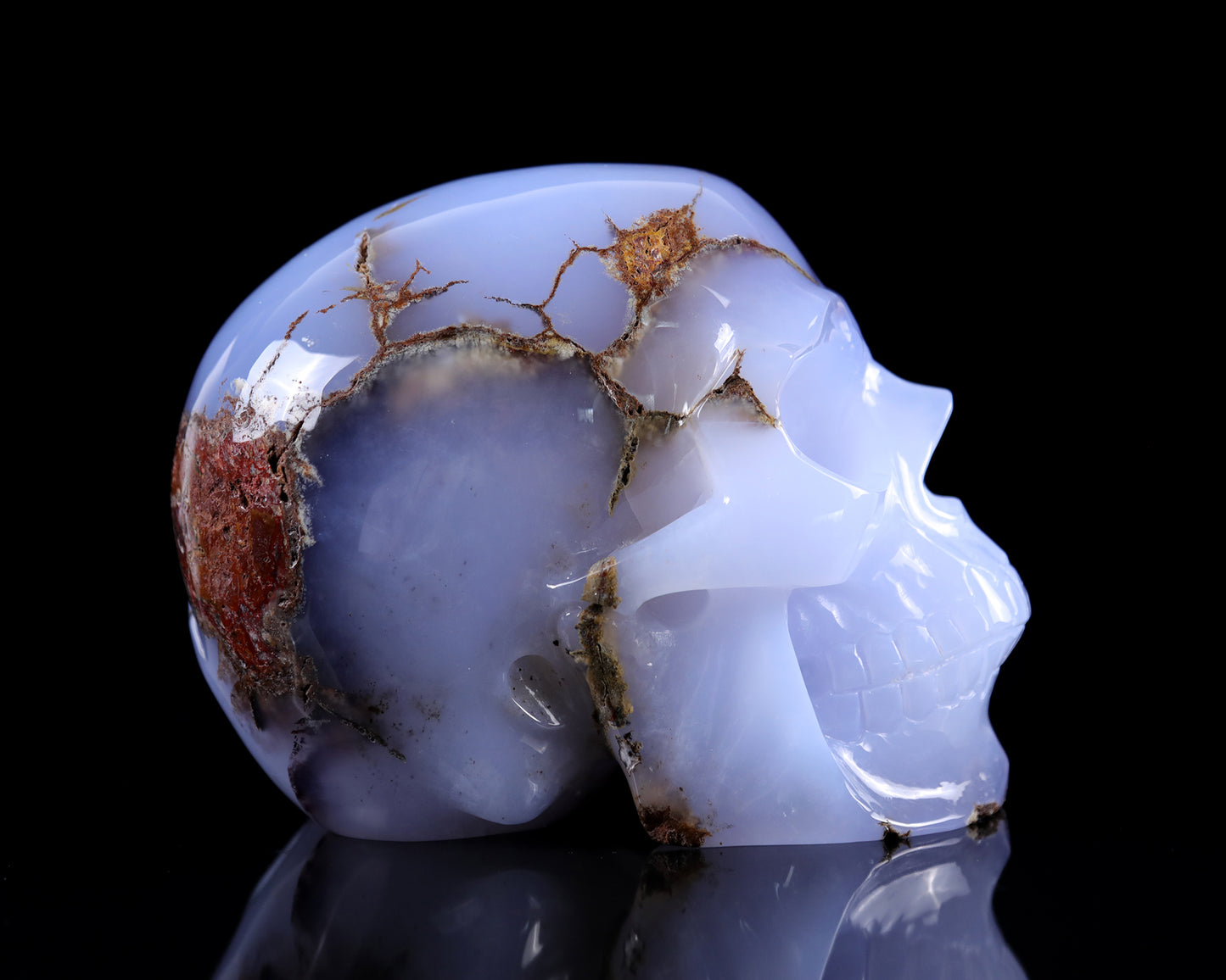 7.9" Blue Chalcedony Hand Carved Crystal Huge Realistic Skull Sculpture Crystallumi