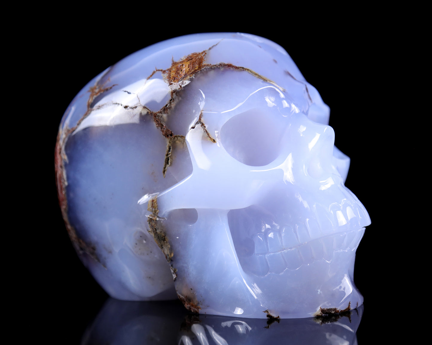 7.9" Blue Chalcedony Hand Carved Crystal Huge Realistic Skull Sculpture Crystallumi