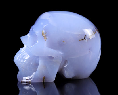 7.9" Blue Chalcedony Hand Carved Crystal Huge Realistic Skull Sculpture Crystallumi