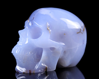 7.9" Blue Chalcedony Hand Carved Crystal Huge Realistic Skull Sculpture Crystallumi