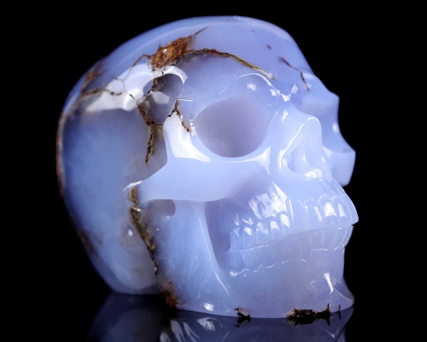 7.9" Blue Chalcedony Hand Carved Crystal Huge Realistic Skull Sculpture Crystallumi