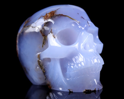 7.9" Blue Chalcedony Hand Carved Crystal Huge Realistic Skull Sculpture Crystallumi