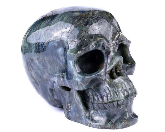 7.9 "Labradorite Hand Carved Crystal Realistic Skull Sculpture Crystallumi