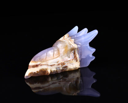 3.6" Blue Chalcedony Hand Carved Crystal Phoenix Skull Sculpture